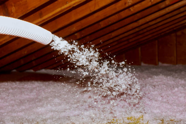 Types of Insulation We Offer in Rock Hall, MD