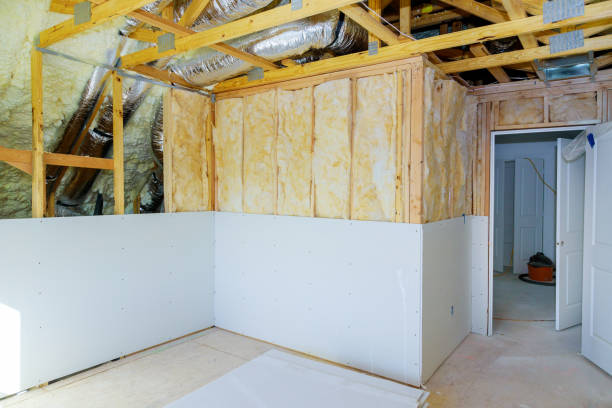 Best Insulation Maintenance and Repair in Rock Hall, MD