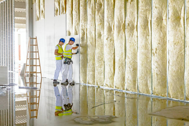 Best Commercial Insulation in Rock Hall, MD